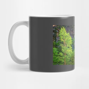 Bridal Veil Falls in Spearfish Canyon Mug